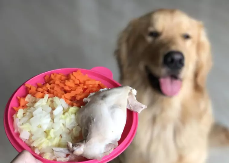 Is chicken good for dogs?