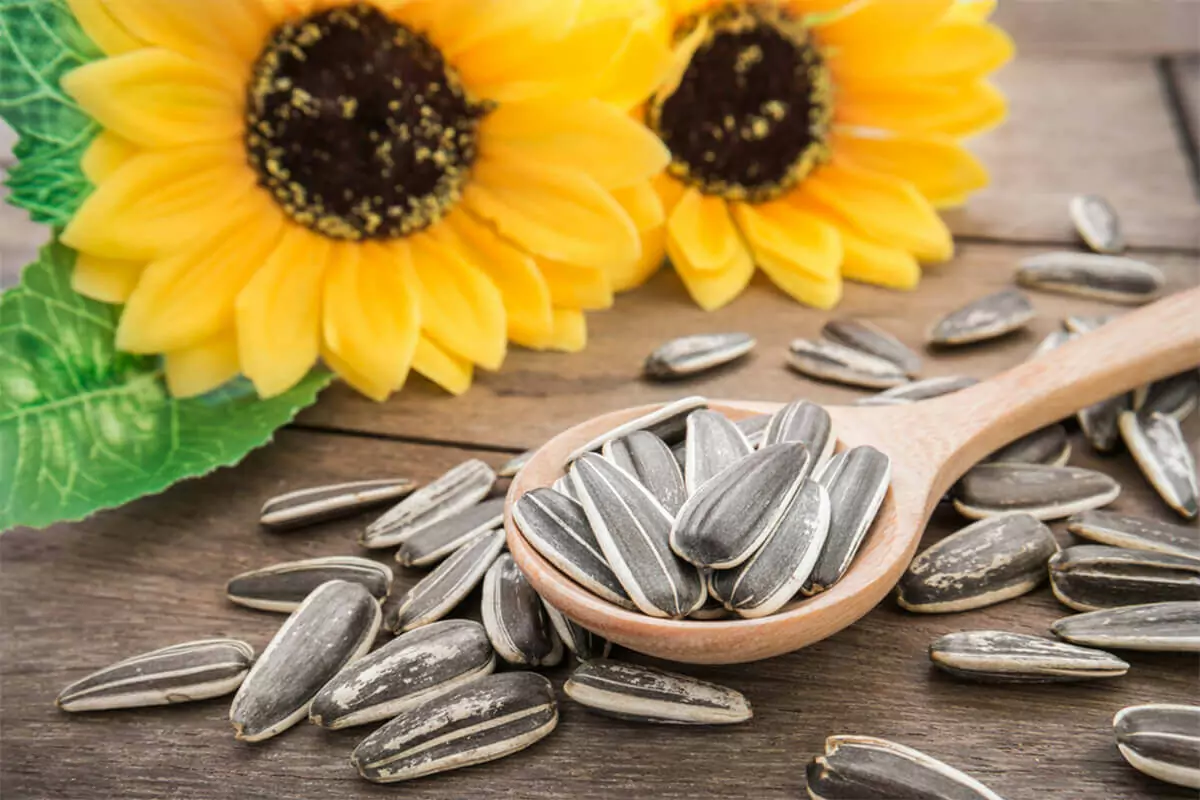 Can dogs eat sunflower seeds? Sunflower seeds are good for your dog's health