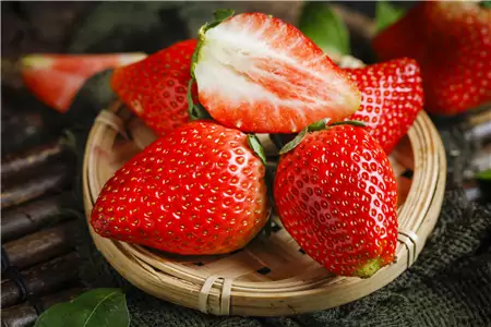 Can cats eat strawberries? Benefits and effects of strawberries 